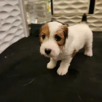 processed/a4a4ac28-99d4-4b67-ad69-22621a47dead/facility/287468f8-377c-4966-ace1-5bd81082cd6f