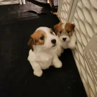 processed/a4a4ac28-99d4-4b67-ad69-22621a47dead/facility/3c8005f2-c178-4e01-ba4d-1d9e258f1708