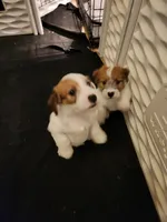 processed/a4a4ac28-99d4-4b67-ad69-22621a47dead/facility/3c8005f2-c178-4e01-ba4d-1d9e258f1708