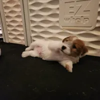 processed/a4a4ac28-99d4-4b67-ad69-22621a47dead/facility/5bdf0d82-2317-458d-a89c-95ad0f23b161