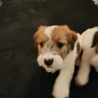 processed/a4a4ac28-99d4-4b67-ad69-22621a47dead/facility/a44649c1-790d-44af-92e9-b5741d29c7d0