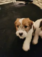 processed/a4a4ac28-99d4-4b67-ad69-22621a47dead/facility/a44649c1-790d-44af-92e9-b5741d29c7d0