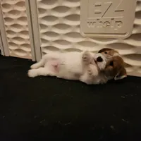 processed/a4a4ac28-99d4-4b67-ad69-22621a47dead/facility/c2cb259b-2a07-4504-8cfd-0090e422a4bc