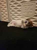 processed/a4a4ac28-99d4-4b67-ad69-22621a47dead/facility/c2cb259b-2a07-4504-8cfd-0090e422a4bc