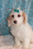 processed/a4a74637-6208-4f61-917f-c87d48ef1c25/listing/029e045c-d2db-4c5b-a5f0-ee5cc2202198/2d54be57-eac5-43b1-b240-853d3e705d00