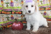 processed/a4a74637-6208-4f61-917f-c87d48ef1c25/listing/029e045c-d2db-4c5b-a5f0-ee5cc2202198/fc964386-7976-41c6-a3c5-32c027835fe4