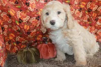 processed/a4a74637-6208-4f61-917f-c87d48ef1c25/listing/908517ec-6d25-4b7c-a36d-b3e1f9c37fd7/538f6610-8222-4528-9331-ea6378a32a04