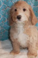 processed/a4a74637-6208-4f61-917f-c87d48ef1c25/listing/908517ec-6d25-4b7c-a36d-b3e1f9c37fd7/a27a3c79-b37d-4cf7-87bb-999eb6aba5c8