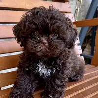 processed/a4ac2b64-d771-4ee4-b848-06afaa4ba522/facility/123938f3-7b72-43a4-83b4-28b72bd5e16f