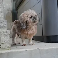 processed/a4ac2b64-d771-4ee4-b848-06afaa4ba522/facility/1acf535e-3840-44e6-a090-391670a11f6f