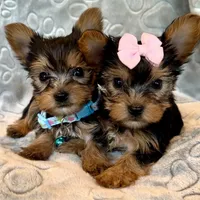 processed/a4ac2b64-d771-4ee4-b848-06afaa4ba522/facility/309b9c93-99c1-42dc-9f1f-9ce6a78d245c