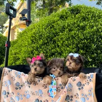 processed/a4ac2b64-d771-4ee4-b848-06afaa4ba522/facility/3136eb5e-4e59-45e0-9b8e-63a7cad40555