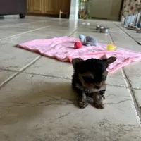 processed/a4ac2b64-d771-4ee4-b848-06afaa4ba522/facility/6bef689f-63b2-4e91-ad89-6a7337d7b90f