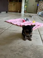 processed/a4ac2b64-d771-4ee4-b848-06afaa4ba522/facility/6bef689f-63b2-4e91-ad89-6a7337d7b90f