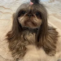 processed/a4ac2b64-d771-4ee4-b848-06afaa4ba522/facility/79833538-5a18-4db9-8ba9-d10e27a852ac