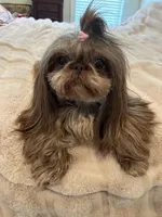 processed/a4ac2b64-d771-4ee4-b848-06afaa4ba522/facility/79833538-5a18-4db9-8ba9-d10e27a852ac