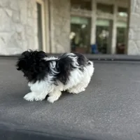 processed/a4ac2b64-d771-4ee4-b848-06afaa4ba522/facility/7ffcb590-85f5-4d59-8615-853c4c5231a1