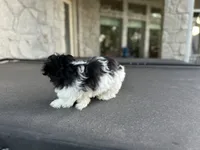 processed/a4ac2b64-d771-4ee4-b848-06afaa4ba522/facility/7ffcb590-85f5-4d59-8615-853c4c5231a1