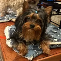 processed/a4ac2b64-d771-4ee4-b848-06afaa4ba522/facility/b35215d3-ac51-4d6e-9afe-cb30cecd795f