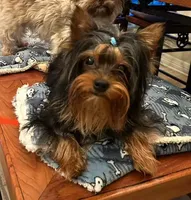 processed/a4ac2b64-d771-4ee4-b848-06afaa4ba522/facility/b35215d3-ac51-4d6e-9afe-cb30cecd795f