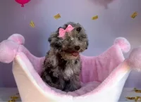 processed/a4ac2b64-d771-4ee4-b848-06afaa4ba522/listing/110cbc88-e2c4-420b-abdd-3832696b25e3/199f9248-ecf0-497e-a0df-736928a21f9f