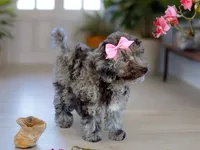 processed/a4ac2b64-d771-4ee4-b848-06afaa4ba522/listing/110cbc88-e2c4-420b-abdd-3832696b25e3/41ea5704-ec76-4cc9-95df-7790977fe196