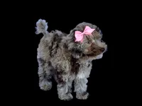 processed/a4ac2b64-d771-4ee4-b848-06afaa4ba522/listing/110cbc88-e2c4-420b-abdd-3832696b25e3/9ca110af-f3ec-4393-8154-d4e404170f8b