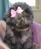 processed/a4ac2b64-d771-4ee4-b848-06afaa4ba522/listing/110cbc88-e2c4-420b-abdd-3832696b25e3/de49392e-9828-4d06-906f-49b03d072ded