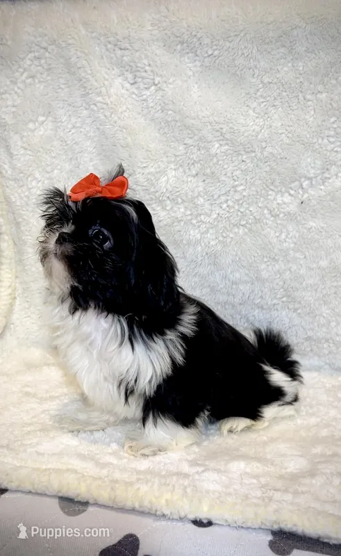 Gigi- sweetheart girl ❤️