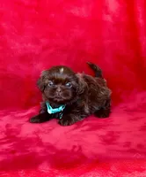 processed/a4ac2b64-d771-4ee4-b848-06afaa4ba522/listing/6e3b183f-13d5-4aab-be7e-61a9595da3b0/5a5bb23f-9d4c-4aba-90fc-44ffc6a99e9f