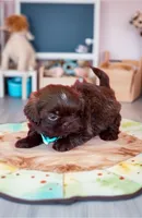 processed/a4ac2b64-d771-4ee4-b848-06afaa4ba522/listing/6e3b183f-13d5-4aab-be7e-61a9595da3b0/8c4f4087-4e1e-415f-a3d7-e593cf1870e2