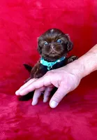 processed/a4ac2b64-d771-4ee4-b848-06afaa4ba522/listing/6e3b183f-13d5-4aab-be7e-61a9595da3b0/9fff4e71-9033-43cf-ad27-b7bcfbd4e056