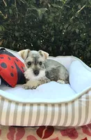 processed/a4ac2b64-d771-4ee4-b848-06afaa4ba522/listing/a1b328f1-f32d-42b9-9e3f-c6c980d45f60/1adad616-6901-42c7-badc-90f122211446