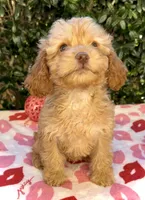 processed/a4ac2b64-d771-4ee4-b848-06afaa4ba522/listing/a6636c8a-d2dd-439b-8873-b993bd824d1e/011f173b-a56b-4d66-9d58-b6f7b9c3f7a6