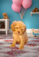 processed/a4ac2b64-d771-4ee4-b848-06afaa4ba522/listing/a6636c8a-d2dd-439b-8873-b993bd824d1e/4625308c-6310-4506-a8c6-2ef2a5b3e7c7