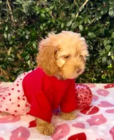 processed/a4ac2b64-d771-4ee4-b848-06afaa4ba522/listing/a6636c8a-d2dd-439b-8873-b993bd824d1e/6a06959f-6266-4798-b1a9-585b7bb77c86