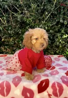 processed/a4ac2b64-d771-4ee4-b848-06afaa4ba522/listing/a6636c8a-d2dd-439b-8873-b993bd824d1e/7fff1ae6-8cd3-4f48-a331-cdc4095e9559