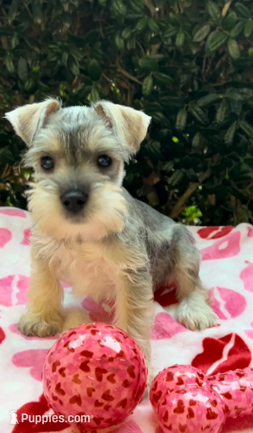 processed/a4ac2b64-d771-4ee4-b848-06afaa4ba522/listing/ccd40938-fdff-4ce7-b982-56567e7999b8/67a47581-1a69-4453-ab0e-0ed161e5d910