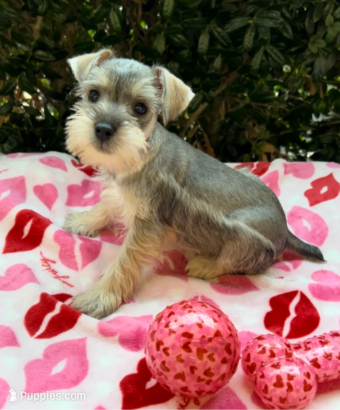 processed/a4ac2b64-d771-4ee4-b848-06afaa4ba522/listing/ccd40938-fdff-4ce7-b982-56567e7999b8/a4f54503-9a5e-4c73-8927-ed07ed7799e3