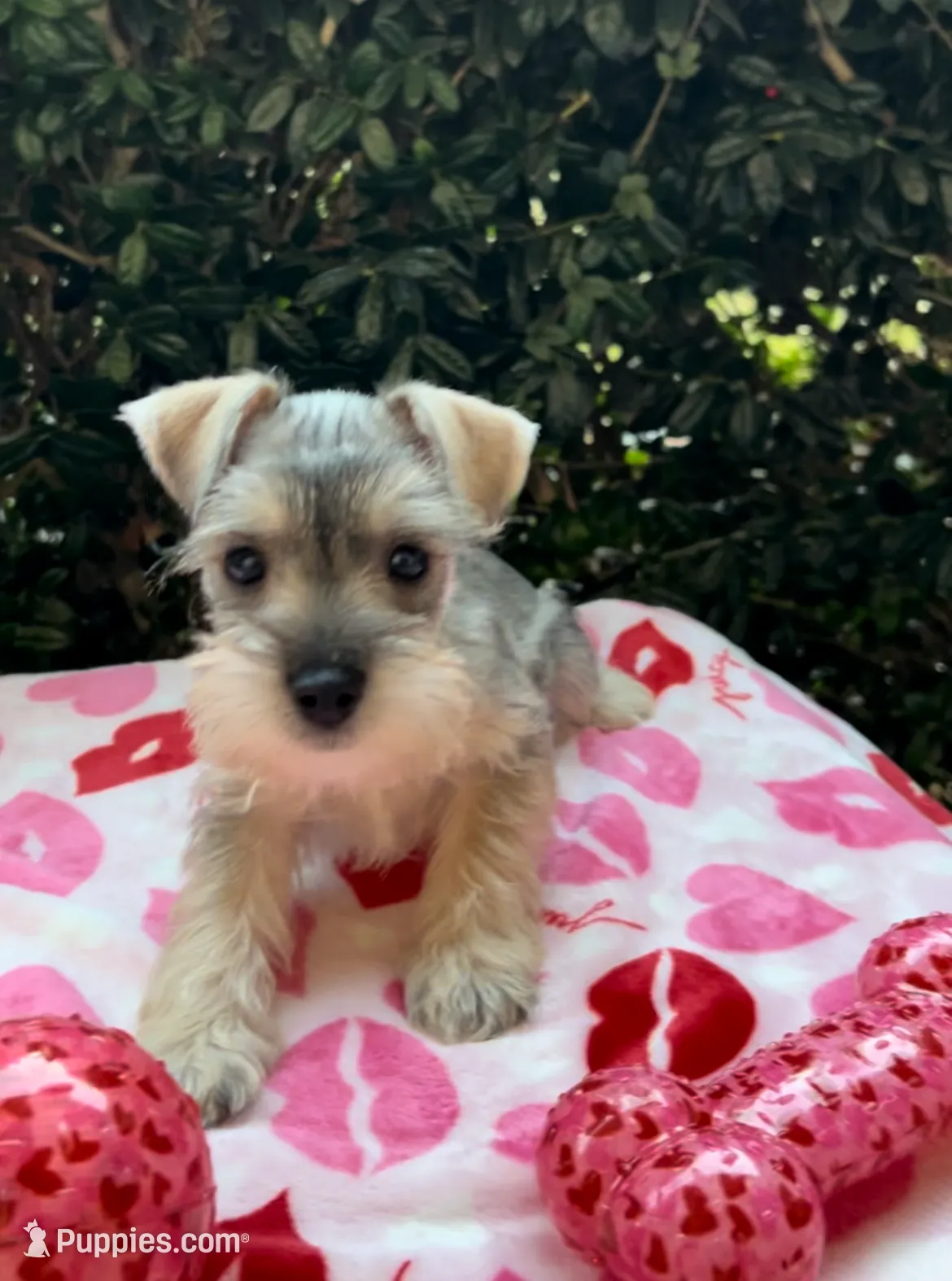 processed/a4ac2b64-d771-4ee4-b848-06afaa4ba522/listing/ccd40938-fdff-4ce7-b982-56567e7999b8/dbc68314-4ea6-4ec3-a076-21247de3df3d