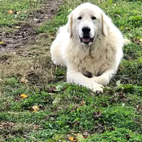 processed/a4b84342-866a-458b-8808-d83f11681bb2/facility/0954238b-eeef-4635-b313-26200acf1485