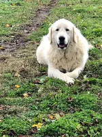 processed/a4b84342-866a-458b-8808-d83f11681bb2/facility/0954238b-eeef-4635-b313-26200acf1485