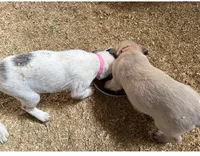 processed/a4b84342-866a-458b-8808-d83f11681bb2/facility/9c55d3ac-090b-40e9-b46c-e16c5782af55