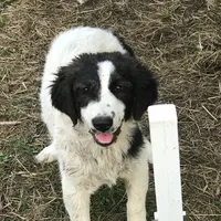 processed/a4b84342-866a-458b-8808-d83f11681bb2/facility/b9d88990-1efc-418d-aecd-fab83105d6cf