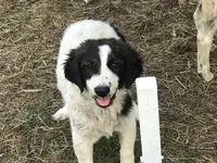 processed/a4b84342-866a-458b-8808-d83f11681bb2/facility/b9d88990-1efc-418d-aecd-fab83105d6cf