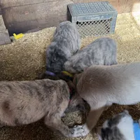 processed/a4b84342-866a-458b-8808-d83f11681bb2/facility/c8725438-b912-42ce-9fa7-45d20cccd1df