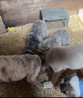 processed/a4b84342-866a-458b-8808-d83f11681bb2/facility/c8725438-b912-42ce-9fa7-45d20cccd1df