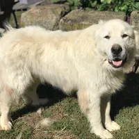 processed/a4b84342-866a-458b-8808-d83f11681bb2/facility/d1f04f92-33c1-4e96-8192-4678ee049a51