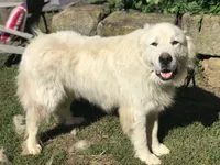 processed/a4b84342-866a-458b-8808-d83f11681bb2/facility/d1f04f92-33c1-4e96-8192-4678ee049a51