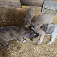 processed/a4b84342-866a-458b-8808-d83f11681bb2/facility/da2c711f-3f4c-4626-96c3-9d7c9c53ccbd